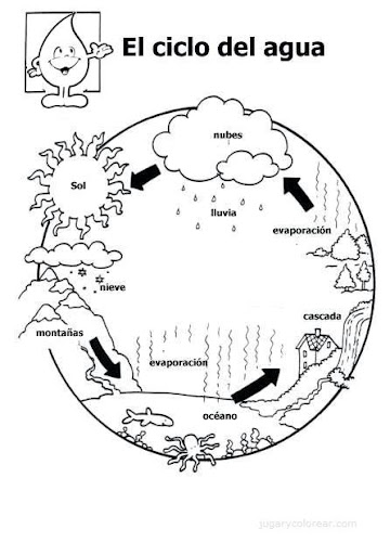 water cycle steps for kids. about the water cycle.