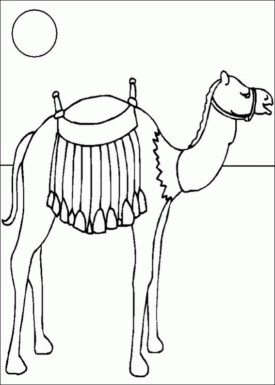 [camellos  (9)[2].gif]
