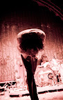 forecastle2010_flaminglips11_festivalfamily.jpg