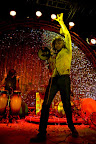 forecastle2010_flaminglips6_festivalfamily.jpg