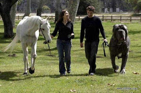 عکسهای خنده دار و بانمک