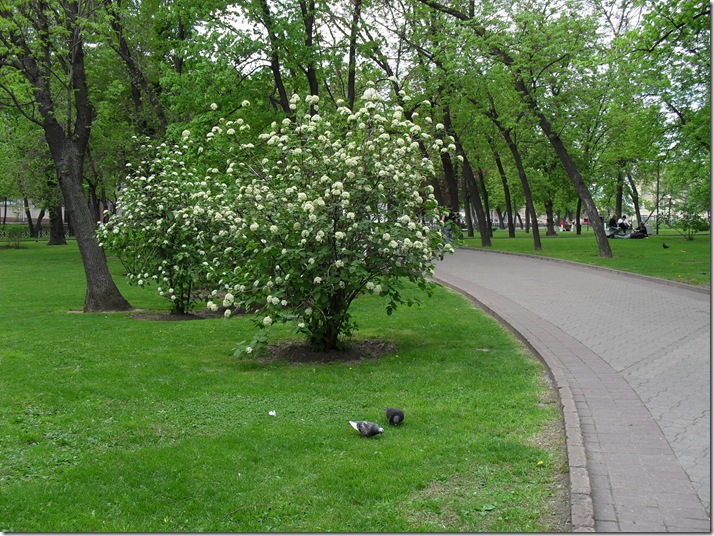 Славянский парк