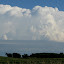 Thunderheads over Northfield