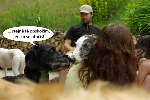 Obrázek