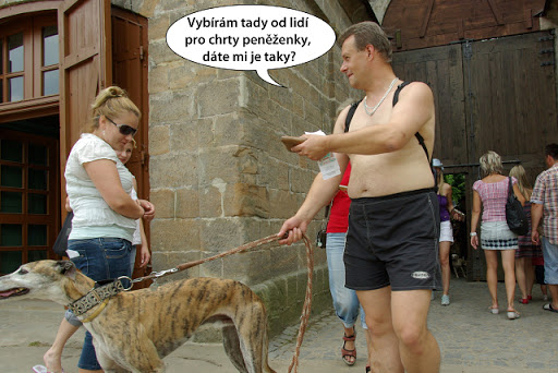 Obrázek