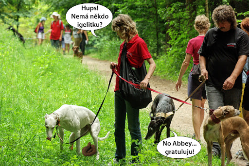 Obrázek