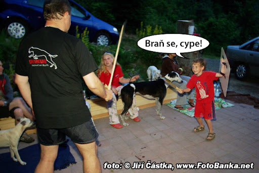 Obrázek