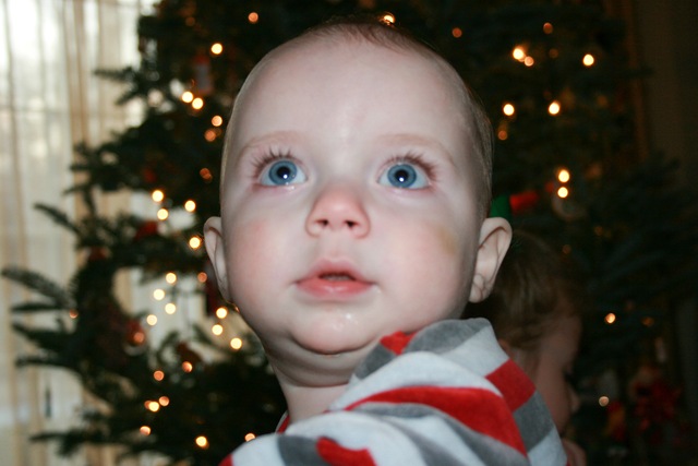 [IMG_8558-edit[4].jpg]