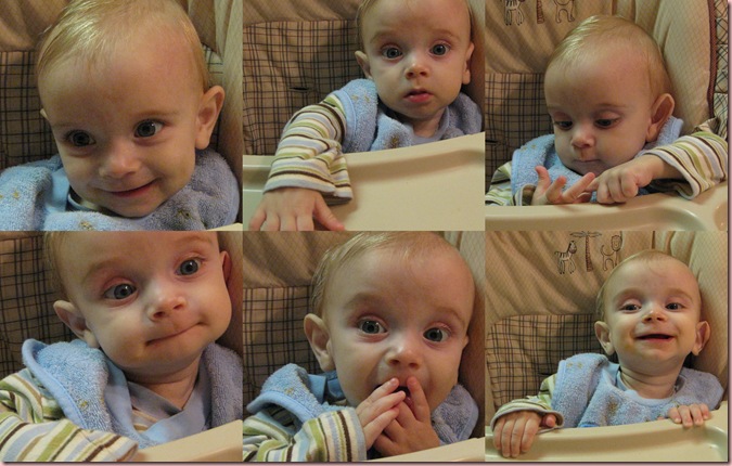 The Many Faces of Ephraim
