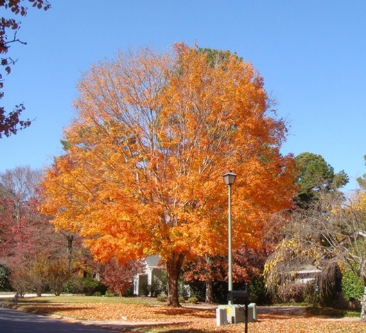 [DSC05263[2].jpg]