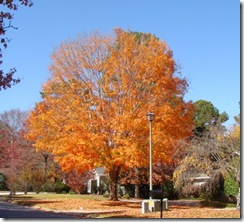 DSC05263
