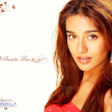 amrita_1312_1024X768.jpg