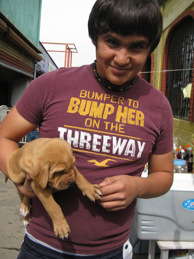 I offered him $200 for his shirt. And he bit me.