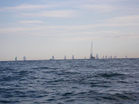 IMGP0658.JPG