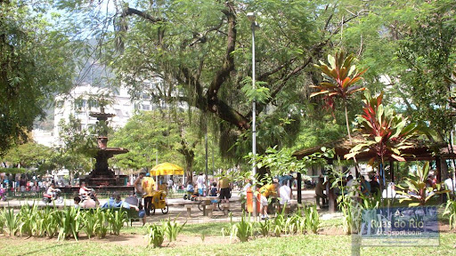 Jardim