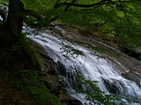 100_7239.JPG Photo