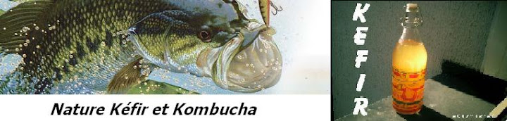  NATURE KEFIR et KOMBUCHA eBay Store 