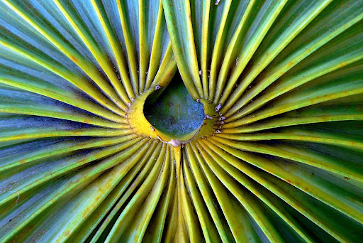 позитивное видео