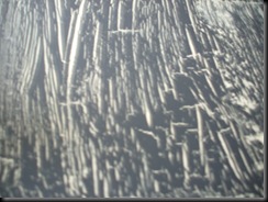 DSCF2084