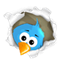 followme_right2