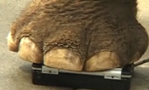 [image[3].png]