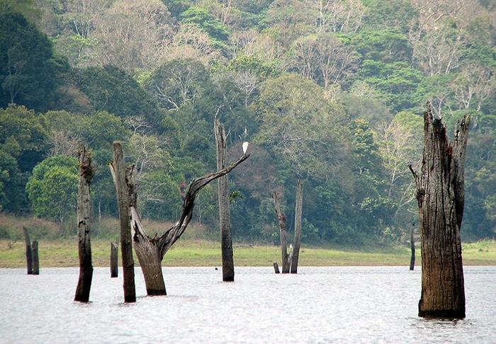 periyar (1) periyar (1)
