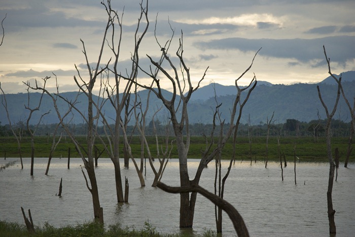 udawalwe (3) udawalwe (3)