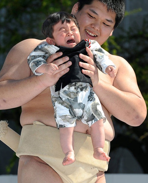 naki-sumo (6) naki-sumo (6)