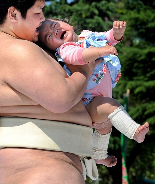 naki-sumo (9) naki-sumo (9)