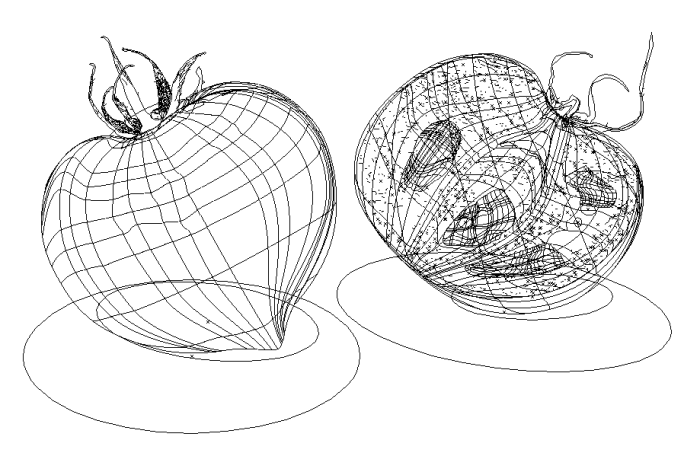 vector-art7 (4) vector-art7 (4)