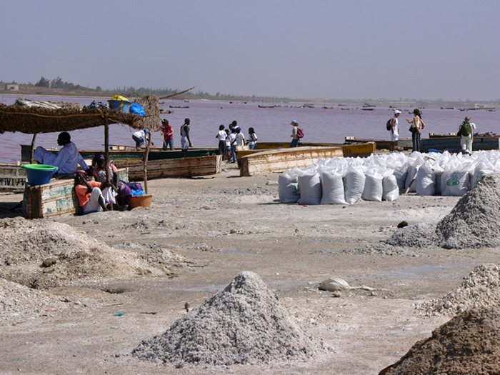 pink-lake-retba (20)