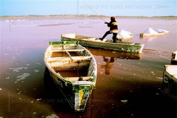 pink-lake-retba (7) pink-lake-retba (7)