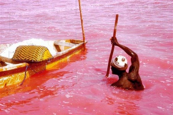 البحيرة الوردية في السنغال Pinklakeretba112