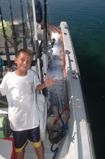 oarfish (15) oarfish (15)