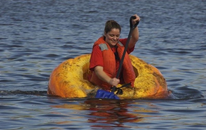 pumpkin-regatta (3) pumpkin-regatta (3)