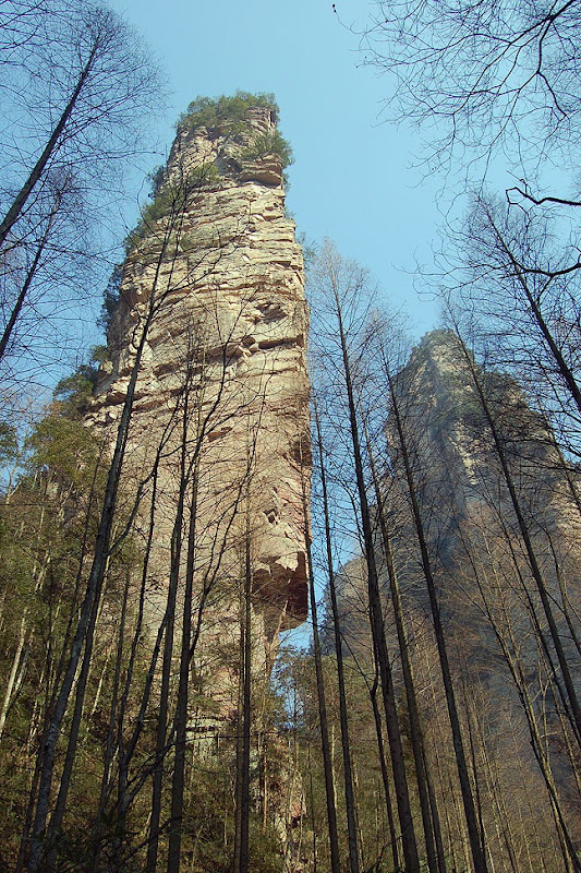 zhangjiajie (4) zhangjiajie (4)
