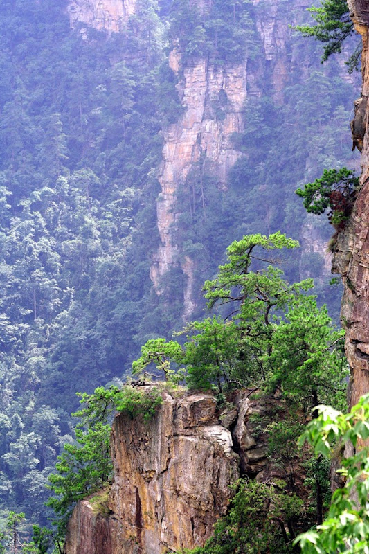 zhangjiajie (11) zhangjiajie (11)