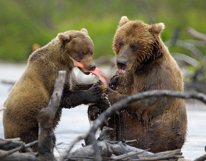 A mother's treat A mother's treat