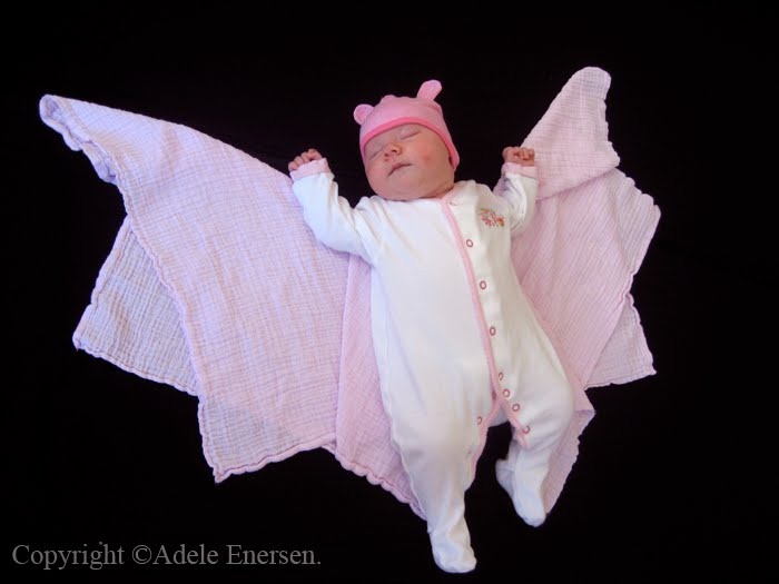 batbaby copy batbaby copy