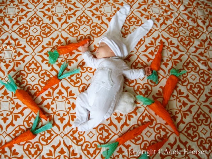 bunny copy bunny copy