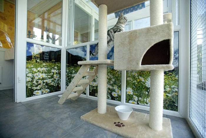 cat-hotel (6) cat-hotel (6)