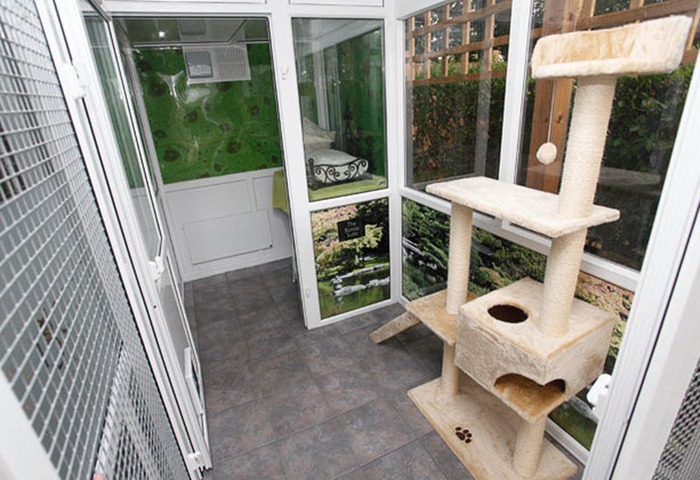 cat-hotel (11) cat-hotel (11)