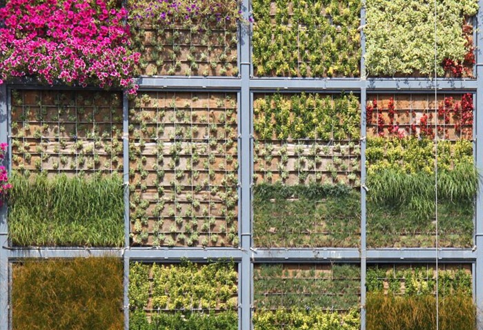 vertical-garden (6) vertical-garden (6)