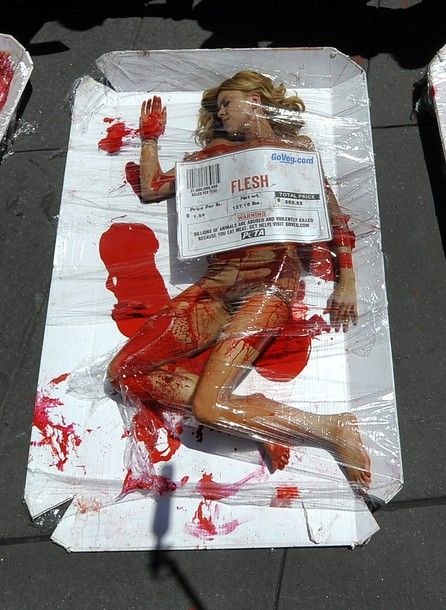 peta-protest (1) peta-protest (1)