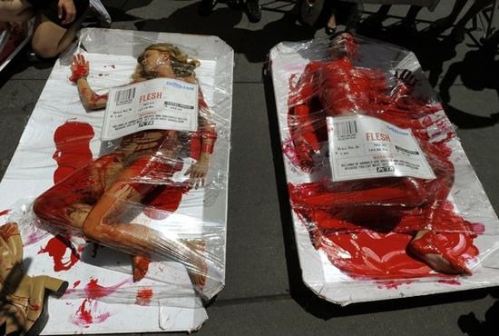 peta-protest (4) peta-protest (4)