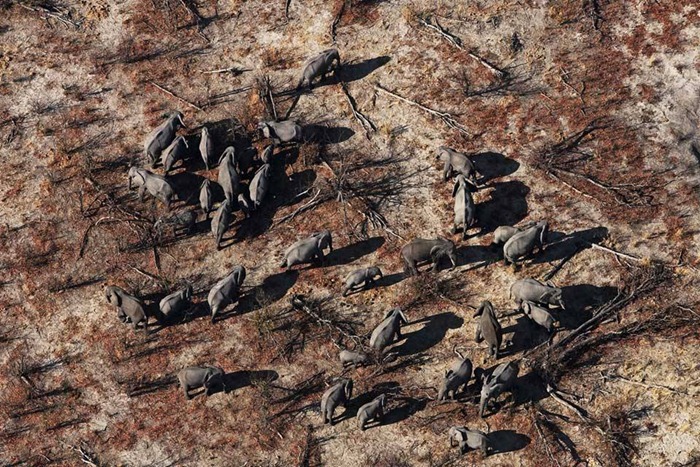 image6 image6