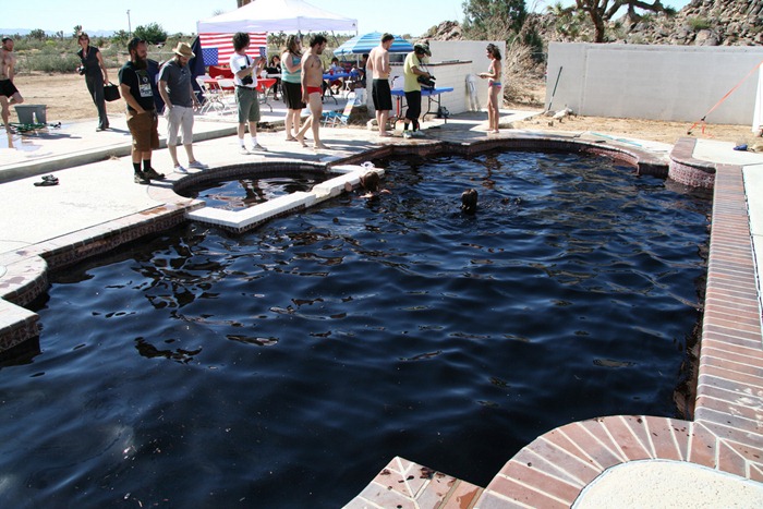 mike-bouchet-cola-pool (2) mike-bouchet-cola-pool (2)