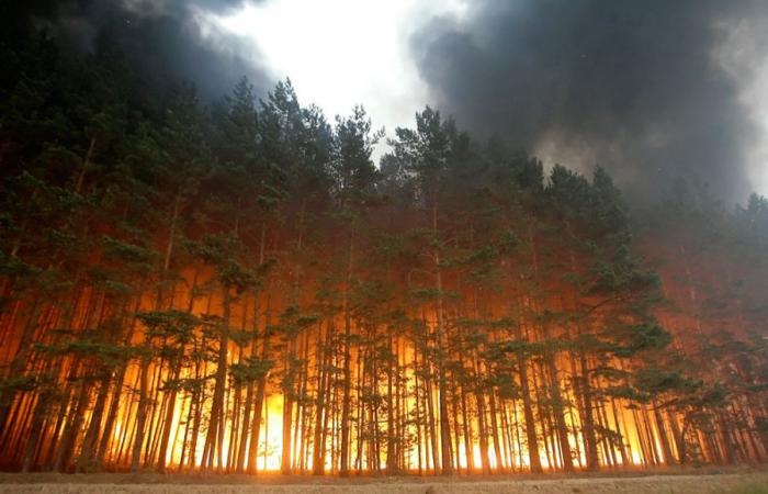 russia-forest-fire (1)