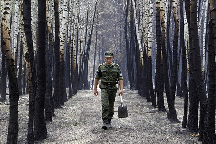russia-forest-fire (49)