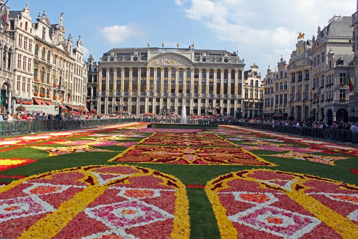 brussels-flower-carpet (2) brussels-flower-carpet (2)
